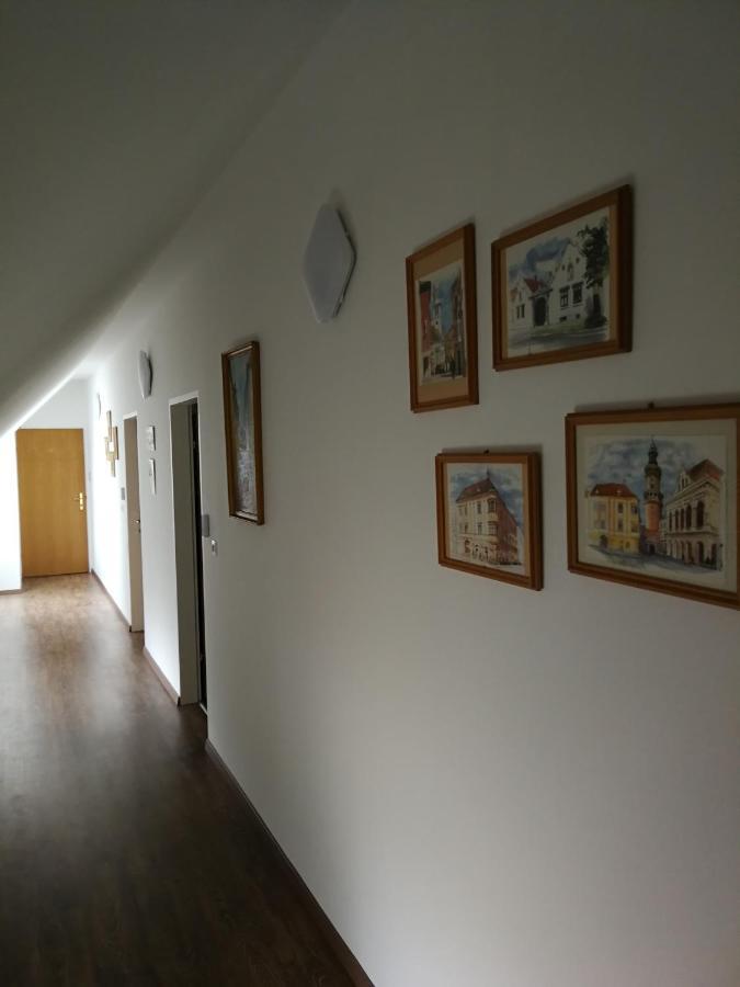 Levanda Panzio Kópháza Dış mekan fotoğraf
