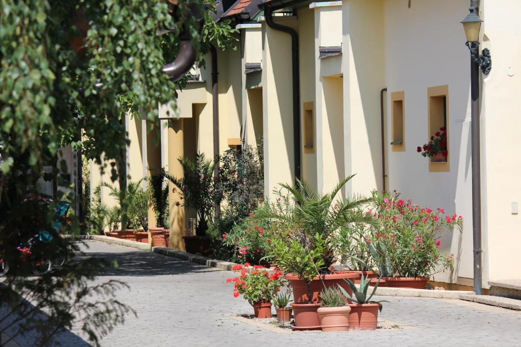 Levanda Panzio Kópháza Dış mekan fotoğraf